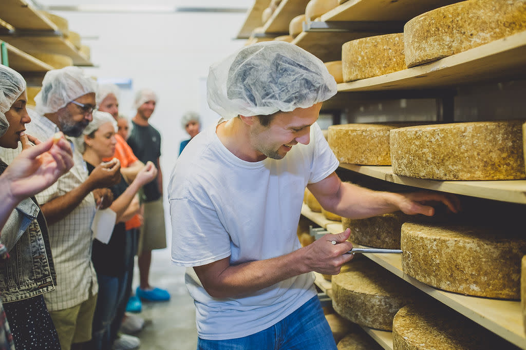 Gunn's Hill Cheese Plant Tour and Tasting