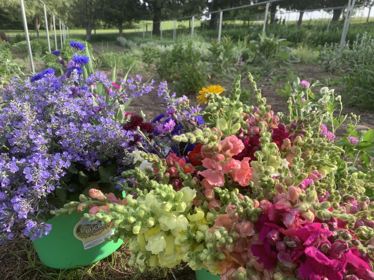 Bouquet Arranging Evenings