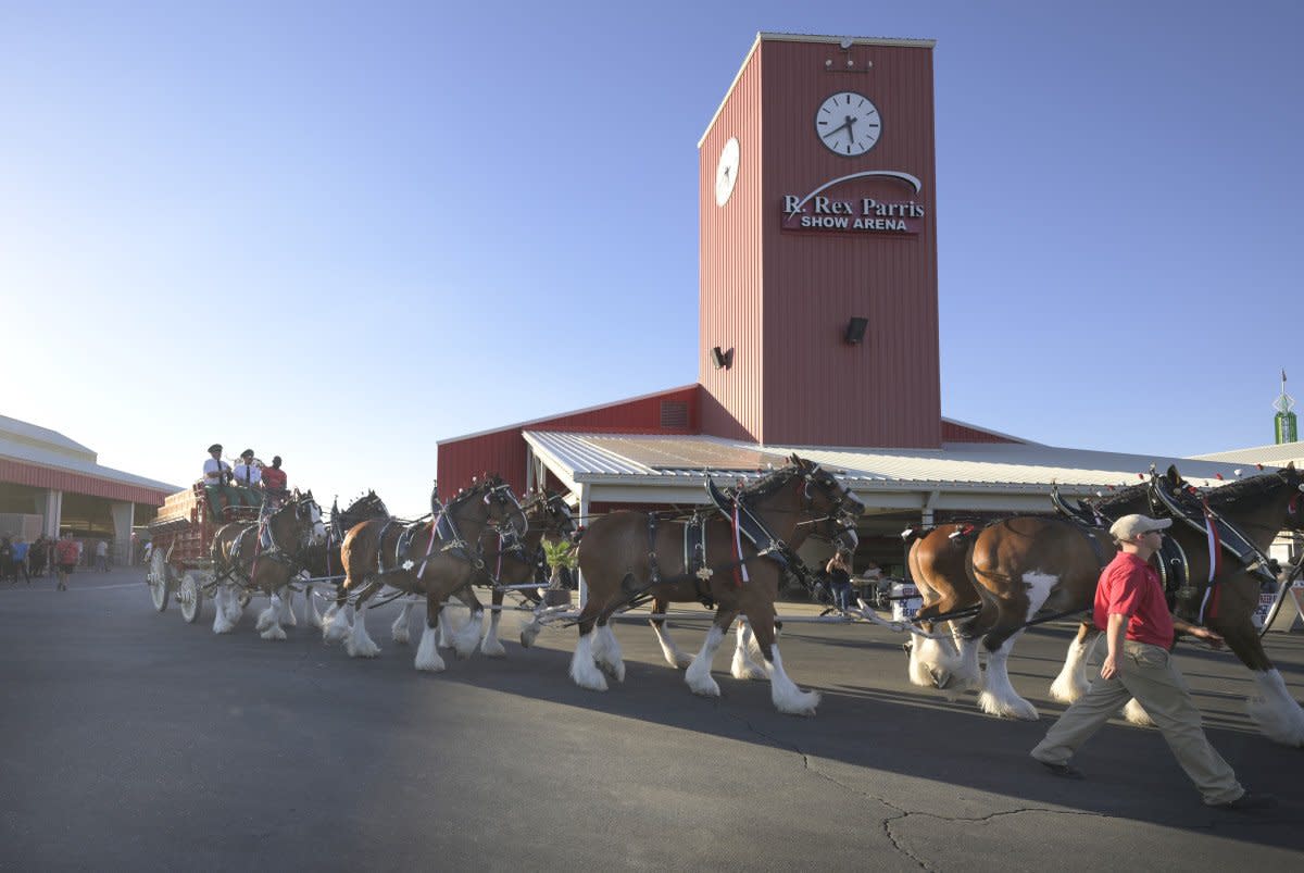 Antelope Valley Fair Grounds