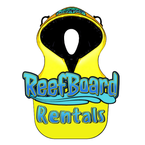 ReefBoard Rentals