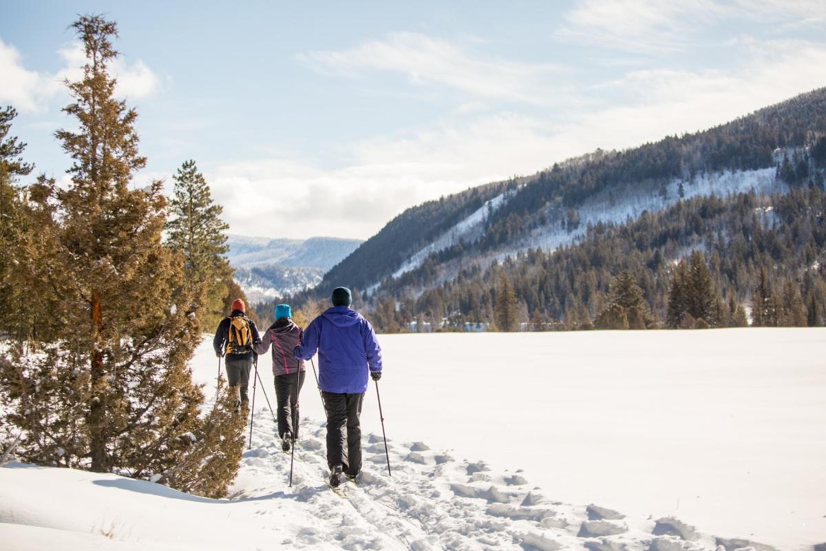 All Seasons Adventures