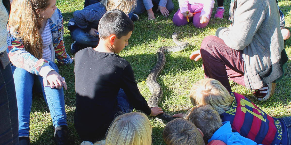 Armadale Reptile Centre Destination Perth
