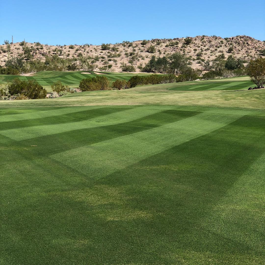 Golf Club of Estrella Goodyear AZ, 85338
