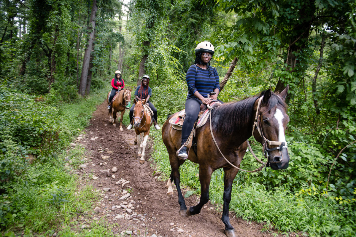Mountain Creek Riding Stable | Cresco, PA 18326