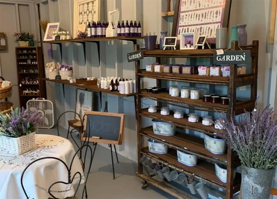 Paradise Lavender Farm Cresco, PA 18326