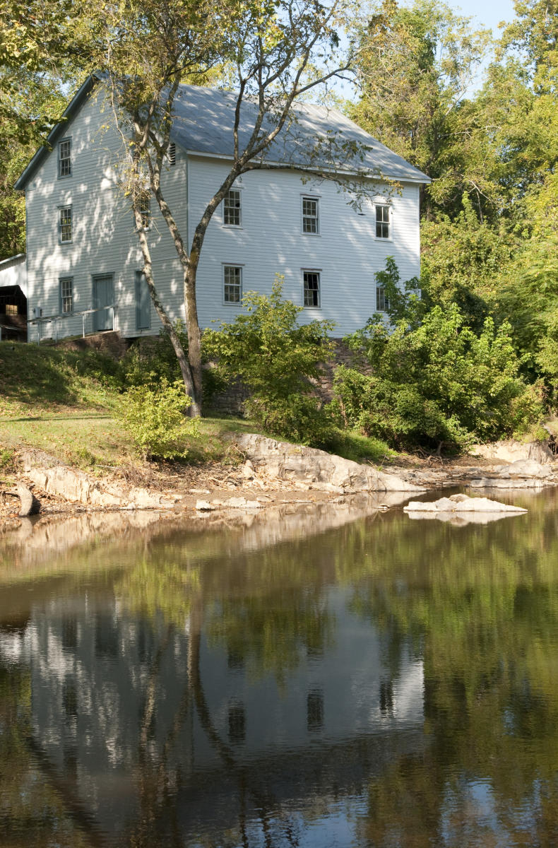 Buckland Preservation Society