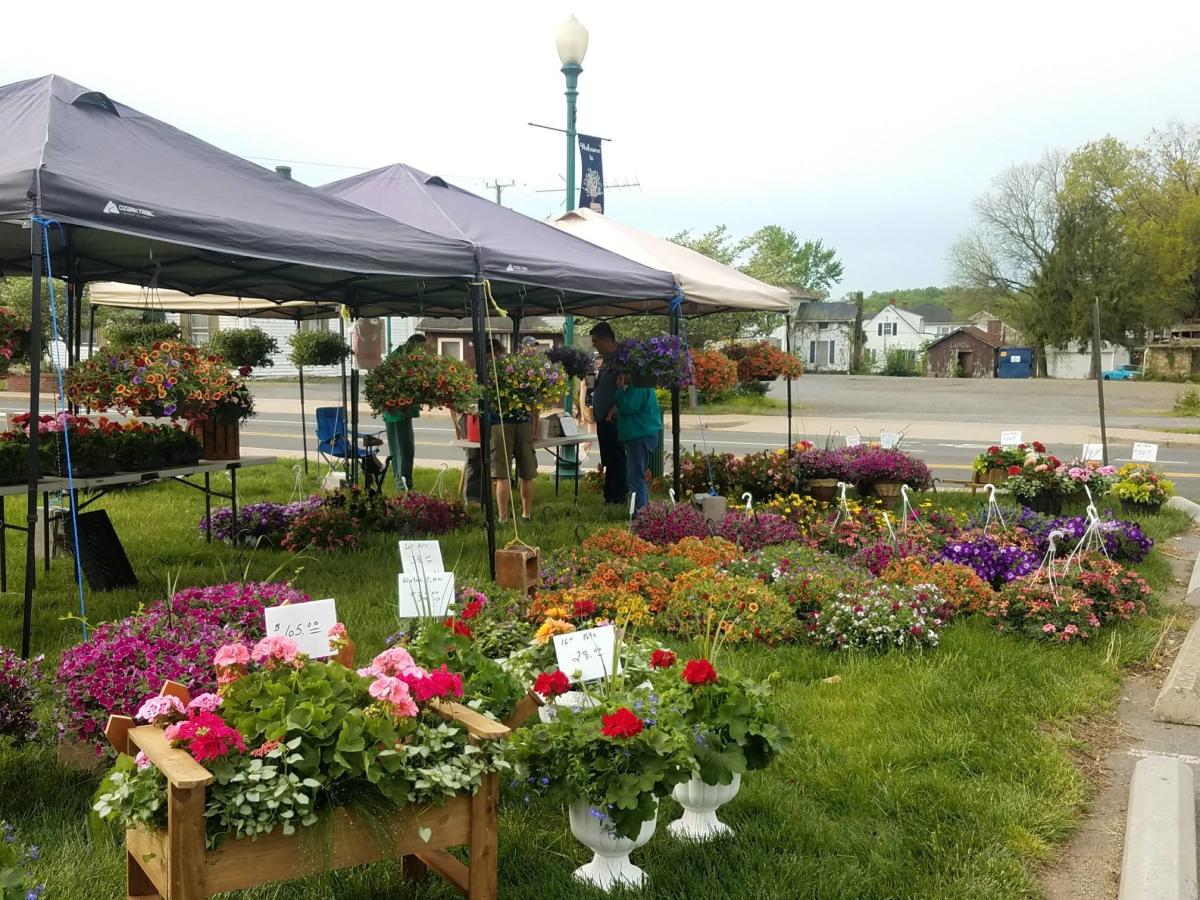 Town of Haymarket Farmers Market