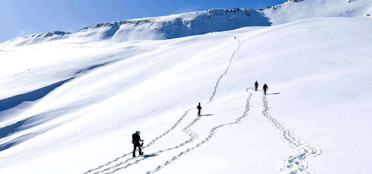 Precious Silence A Heli Snowshoeing Adventure in Serene Snowscapes