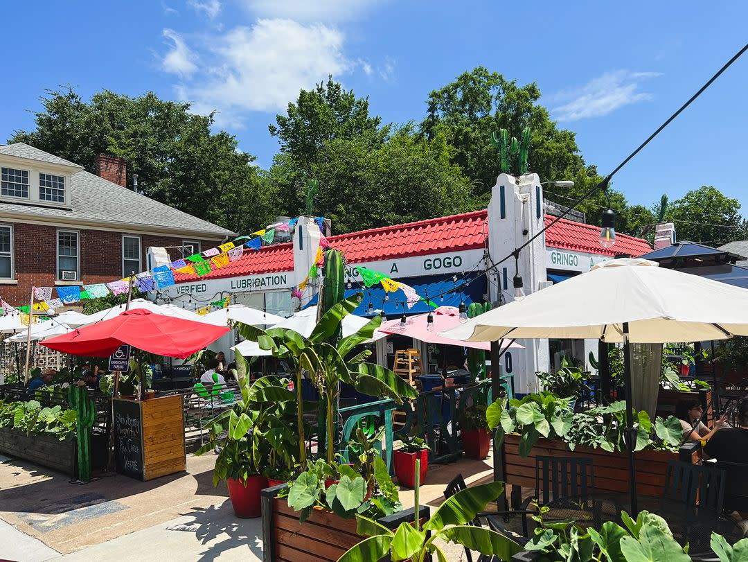 Gringo A Go Go | Raleigh, NC 27601