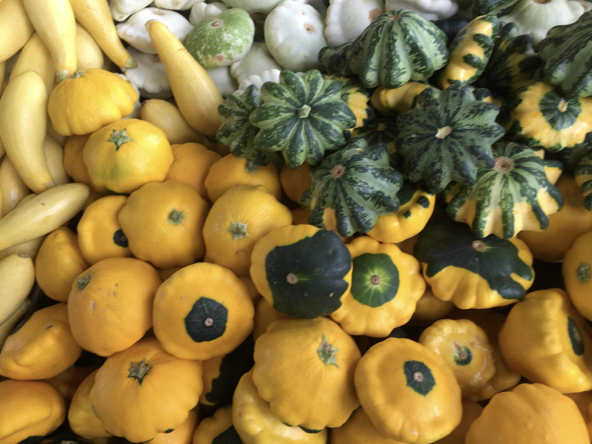 Stone Ridge Farm Market Zebulon, NC 27597