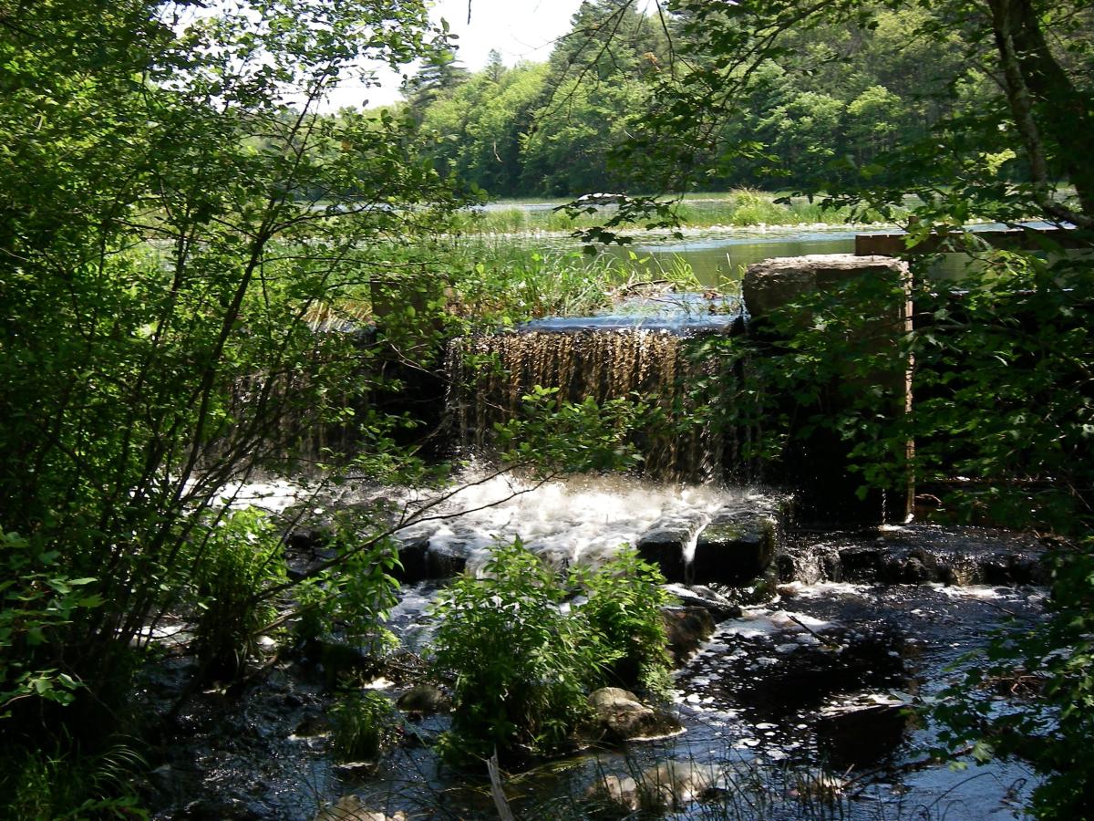 Big River Management Area | West Greenwich, RI 02817