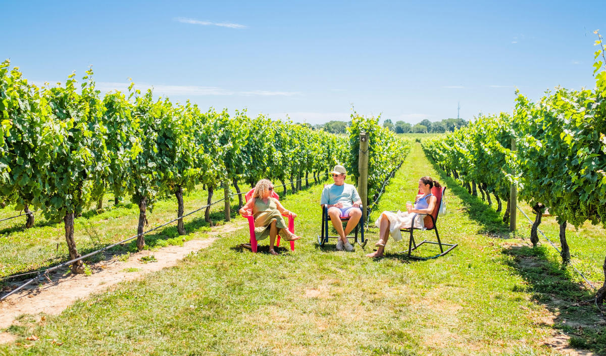 Newport Vineyards — Food & Drink in Middletown