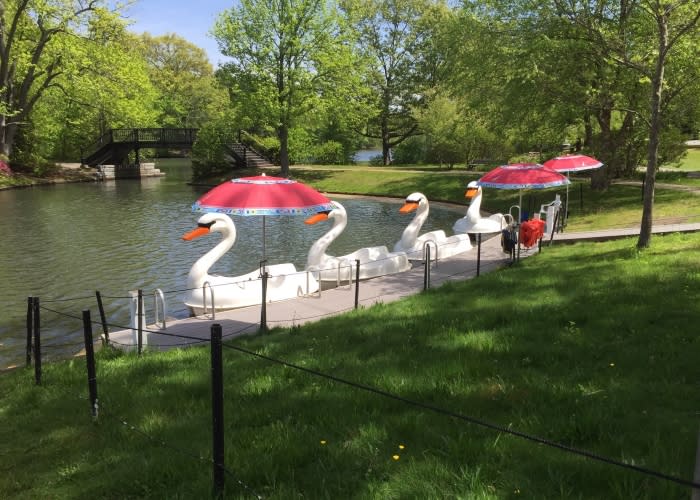 Roger Williams Park Zoo & Carousel Village Providence, RI 02907