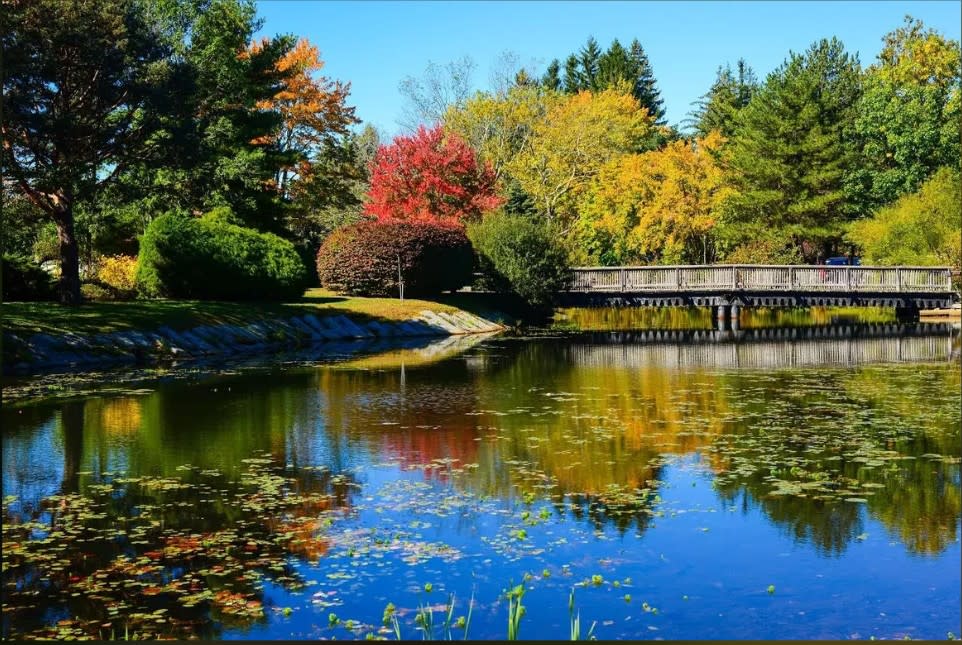 Johnston Memorial Park — Community Resources in Johnston