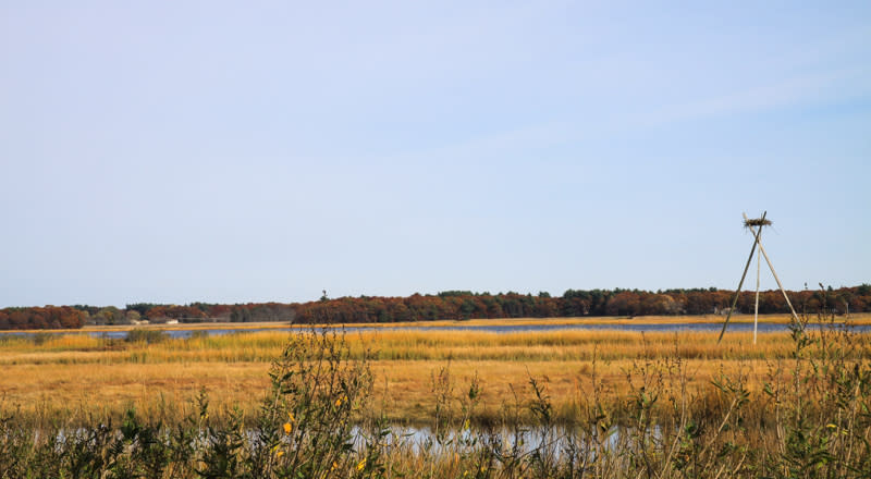 Osamequin Nature Trails and Bird Sanctuary — Things To Do in Barrington