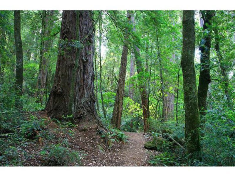 Grassy Hill Natural Preserve Rocky Mount, VA 24151