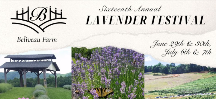 16th Annual Lavender Festival at Beliveau Farm Blacksburg VA 24060