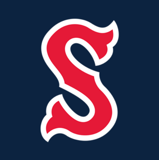 Salem Red Sox vs Delmarva Shorebirds Salem VA 24153