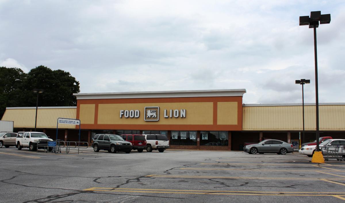 Food Lion Grocery Store
