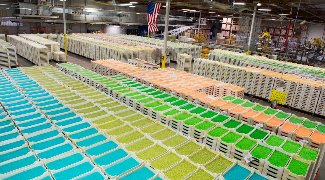 Jelly Belly Visitor Center in Fairfield Fairfield, CA 94533