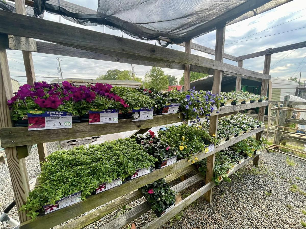 Rockwell Farm & Field