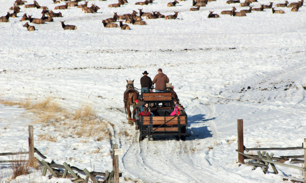 Sleigh Ride at Hardware Ranch