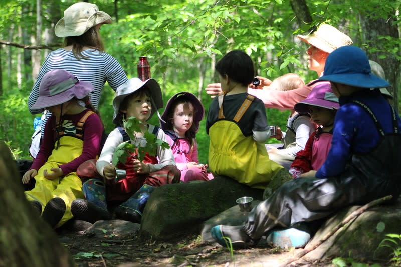 Waldorf School of Saratoga Springs Saratoga, NY