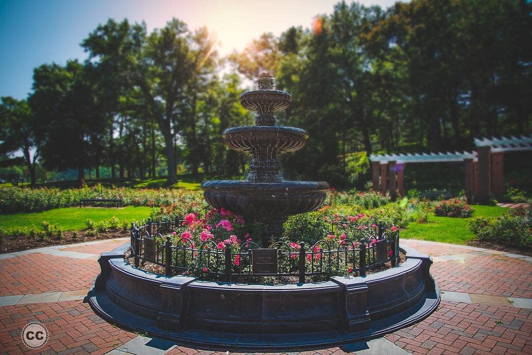Central Park Rose Garden