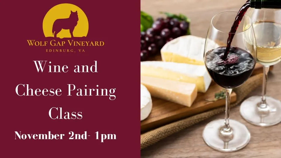 Wine and Cheese Pairing Class