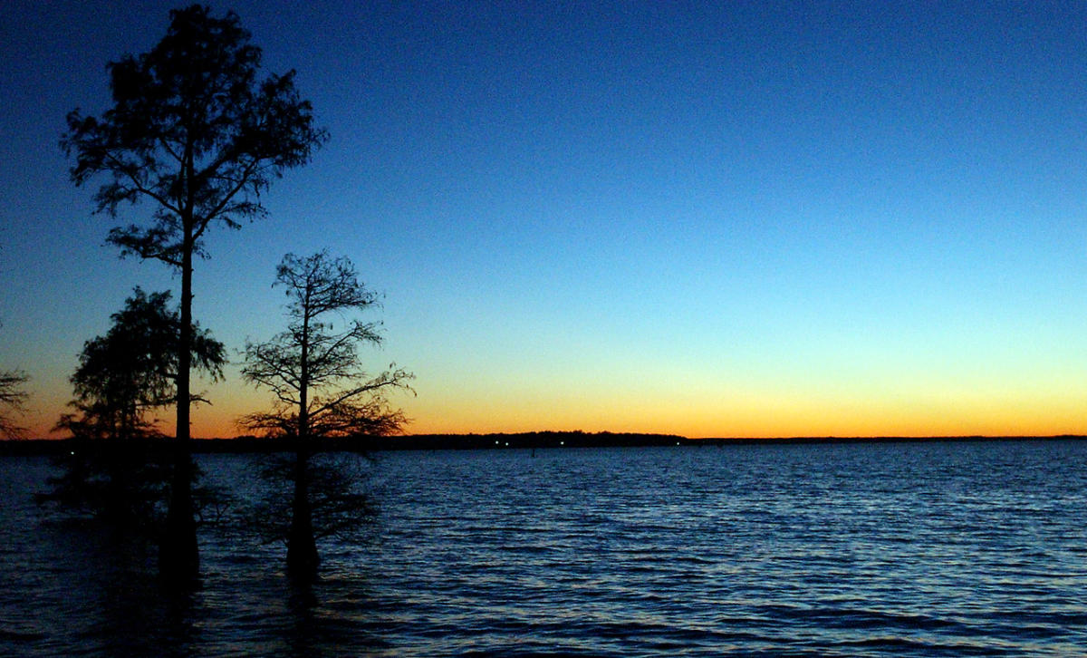 Caddo Lake Oil City, LA