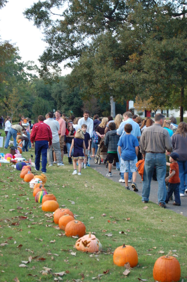 Pumpkin Shine on Line