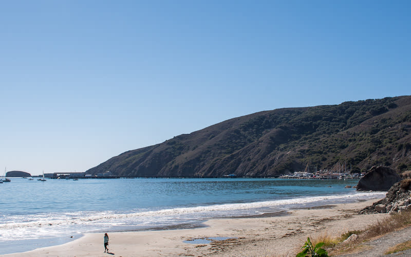 Olde Port Beach | Visit SLO CAL