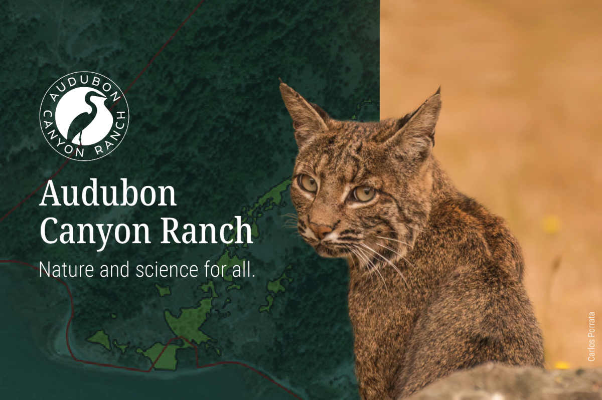 Audubon Canyon Ranch