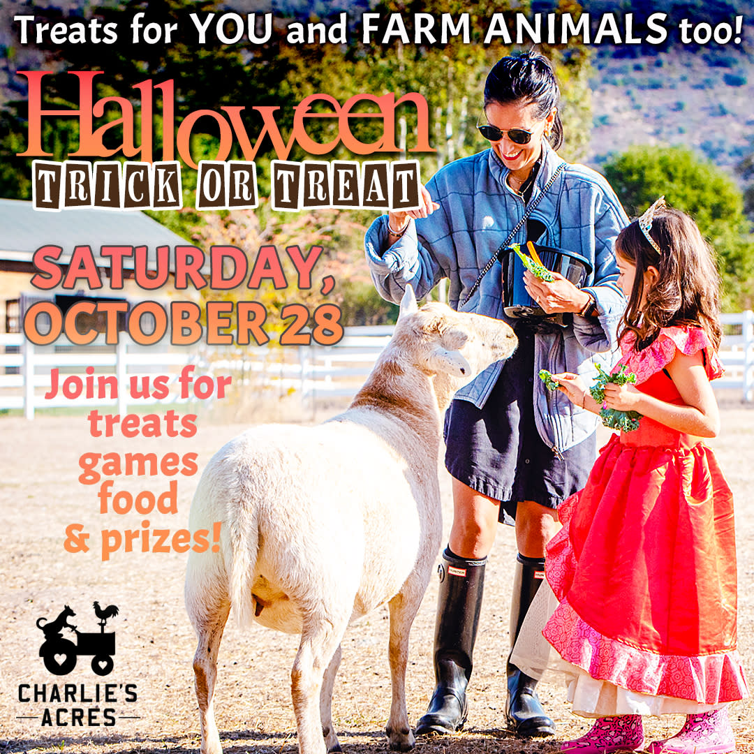 Halloween Trick or Treat at Charlie's Acres