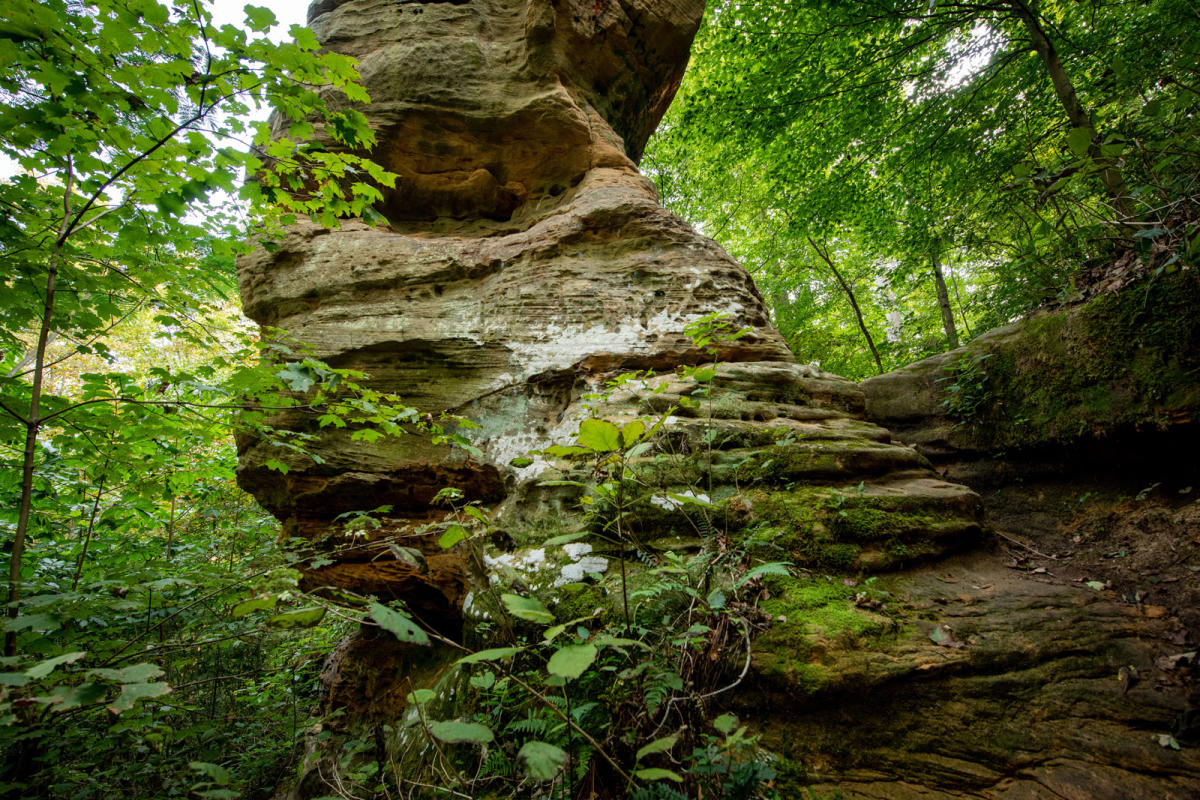 Jug Rock