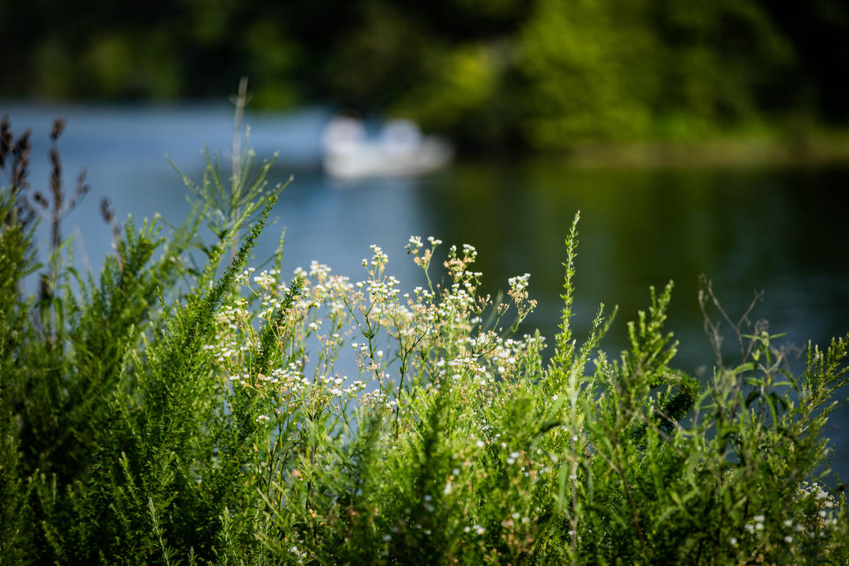 Otis Park Golf Course