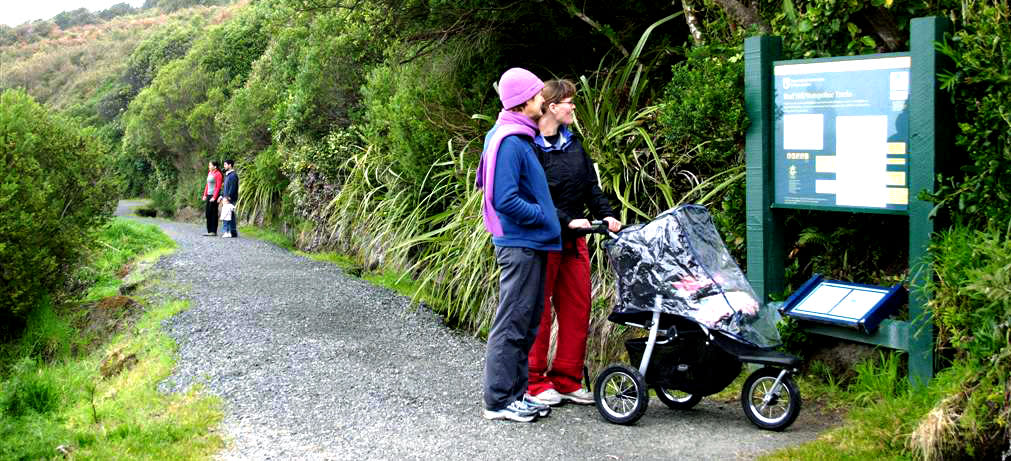 Foveaux Walkway / Ocean Beach track