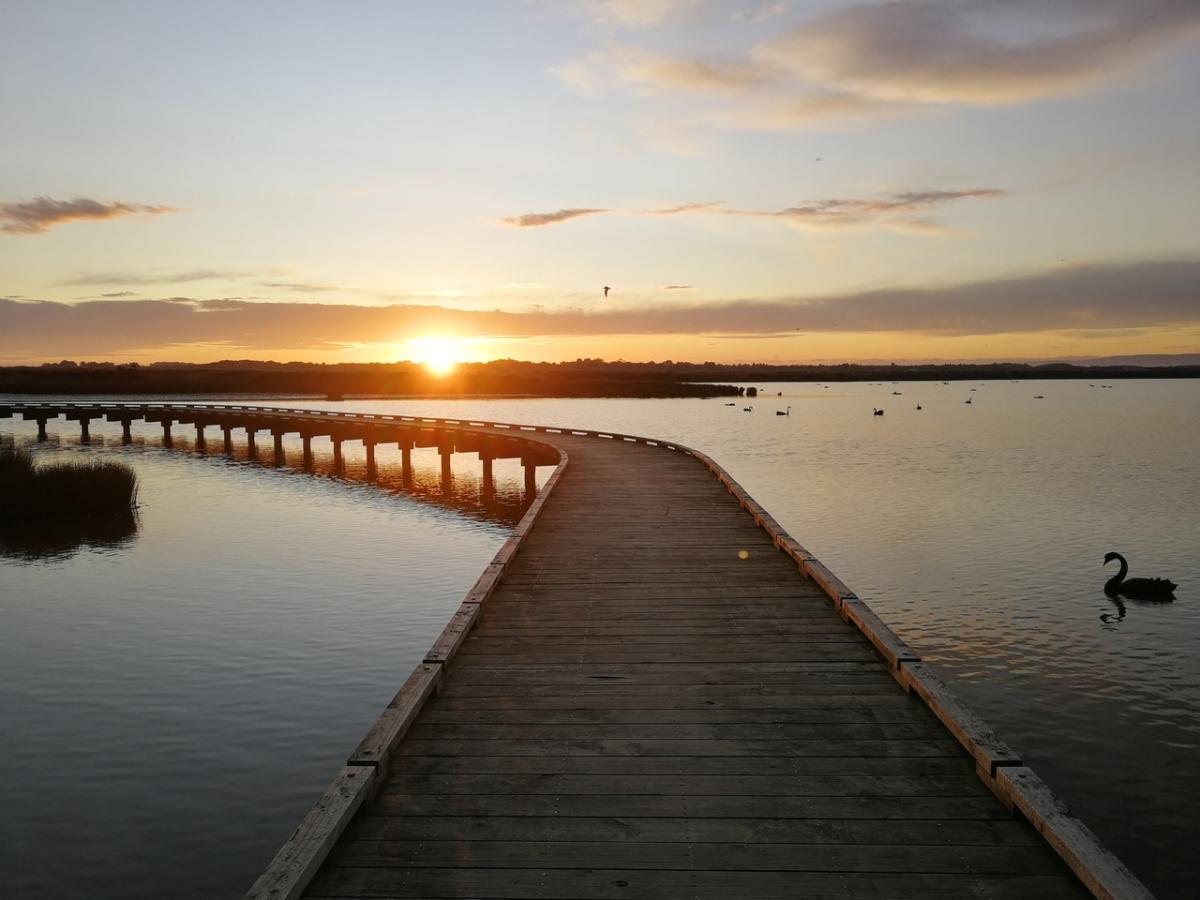 Invercargill Estuary Walkway