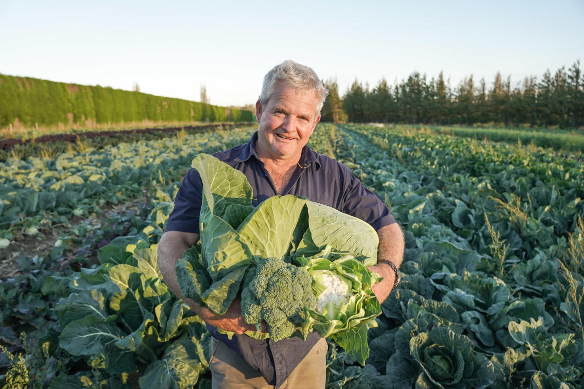 Wilsons Veges Farm Fresh