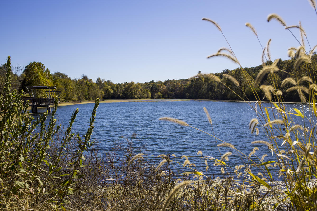 Valley Water Mill Park