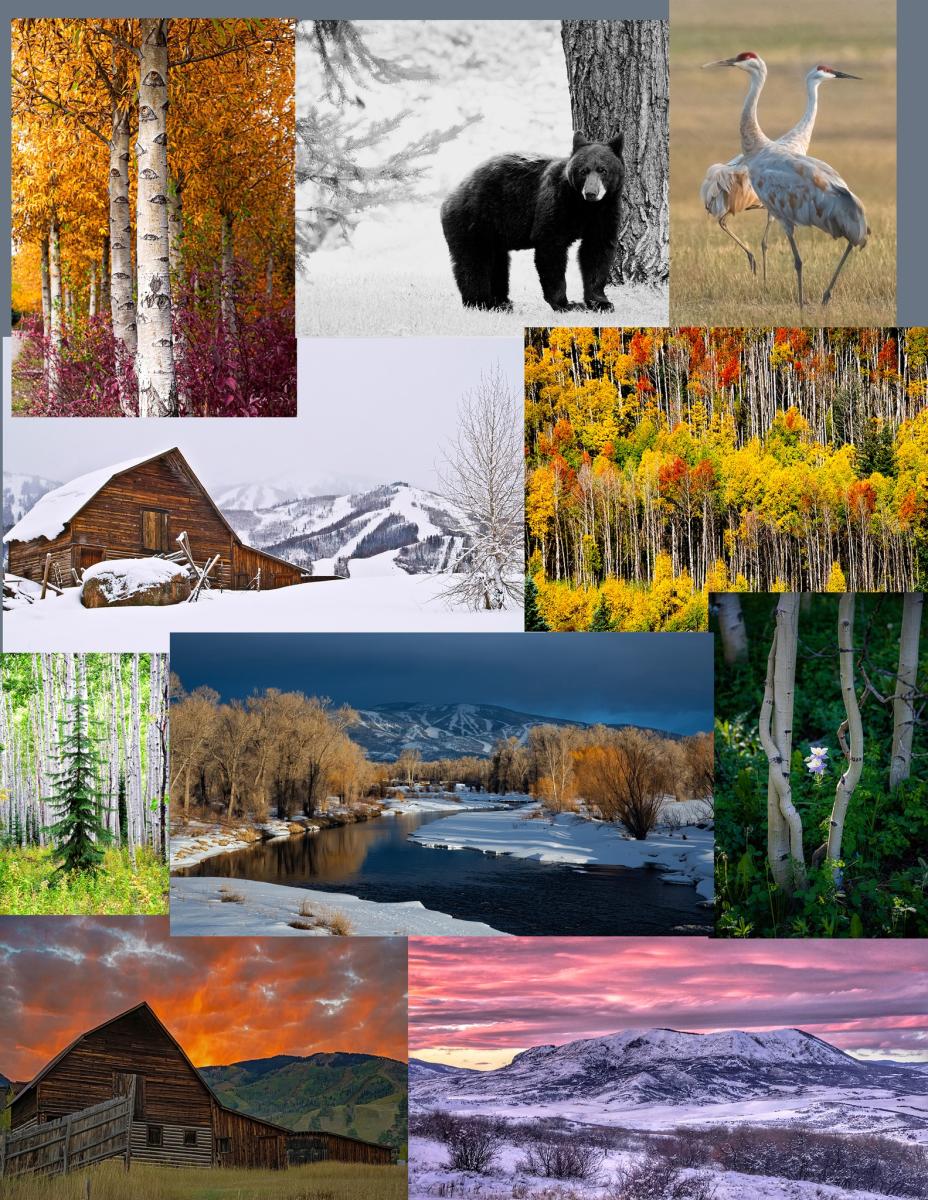 Artist Popup at The Boathouse Arts & Culture Steamboat Springs