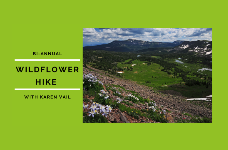 Wildflower Hike with Karen Vail Events & Entertainment, Recreation