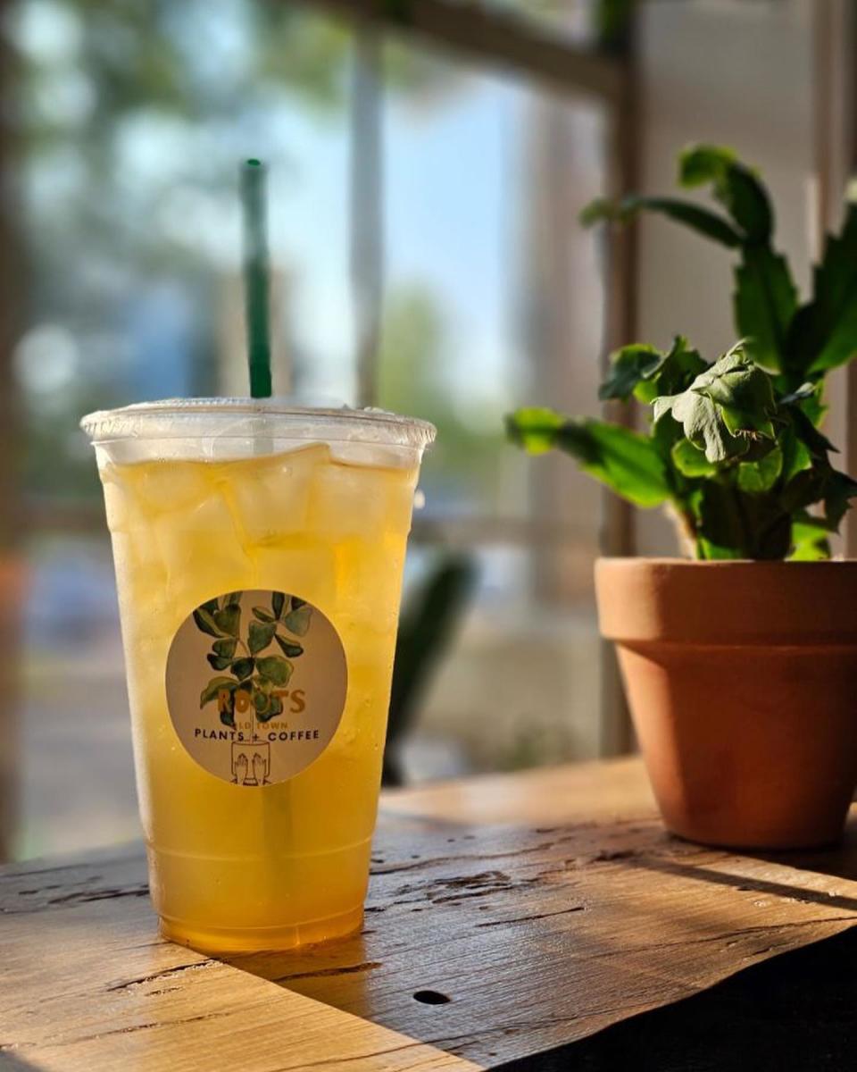 Roots Plants and Coffee Slidell, LA 70458