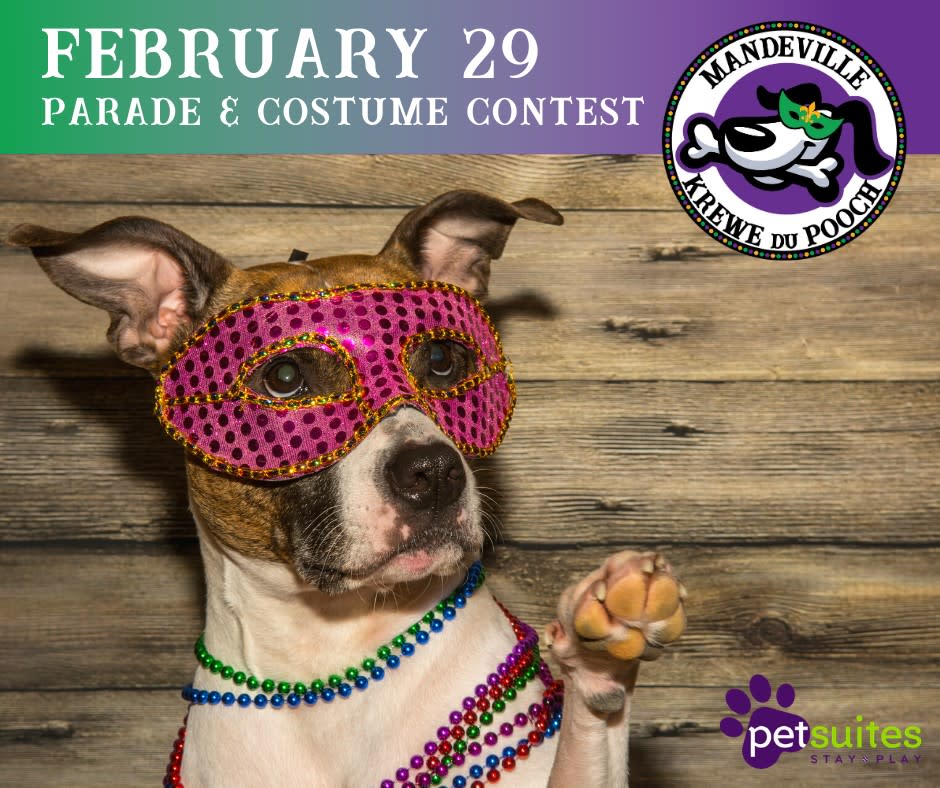 Krewe du Pooch Parade Mandeville, LA 70448 February 29, 2020