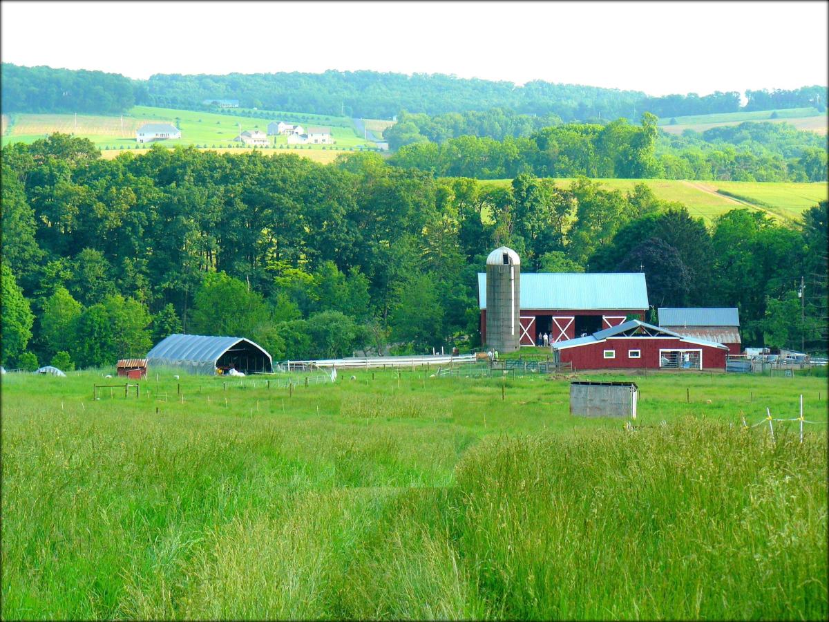 Owens Farm | Sunbury, PA