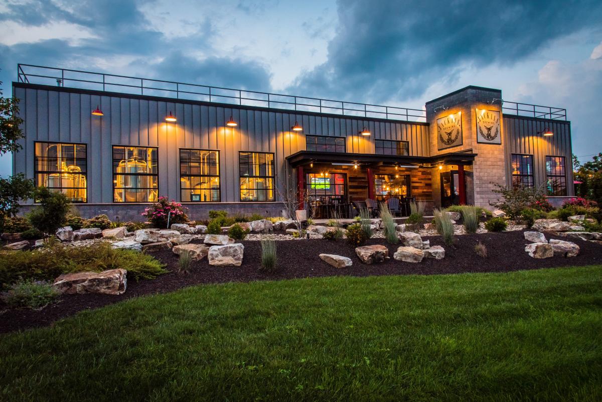 Jackass Brewing Company