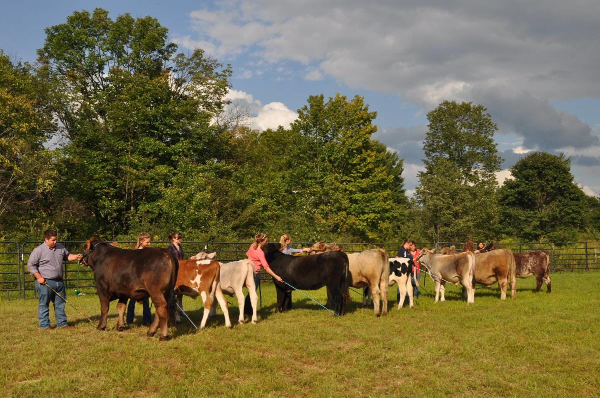 Northumberland County Fair, Inc.