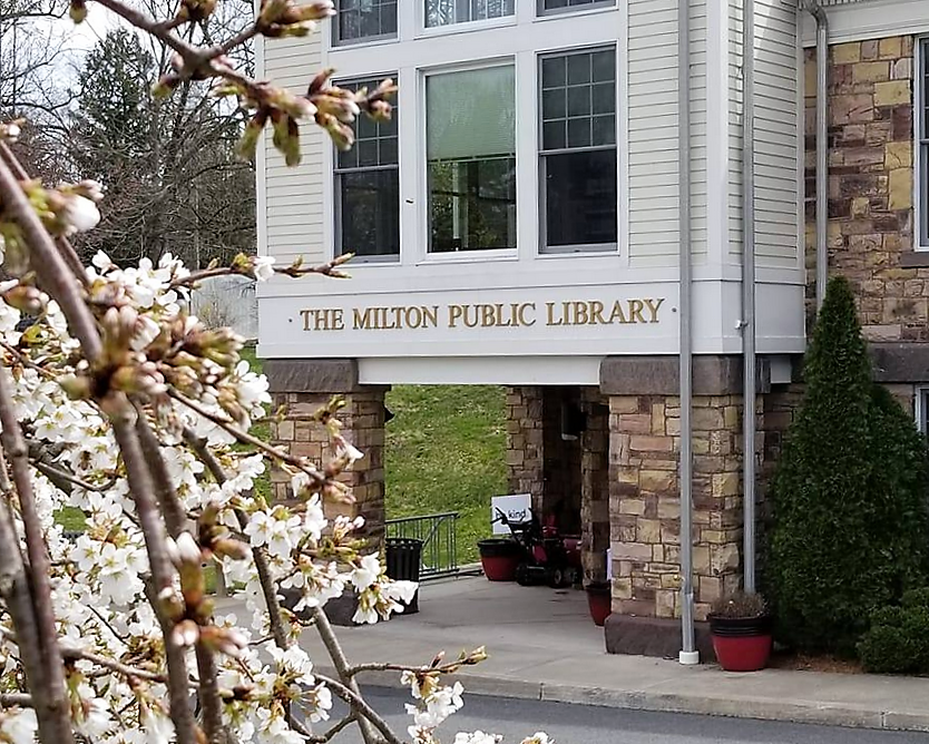 Discovering Milton Lib: A Comprehensive Guide To The Influential Figure