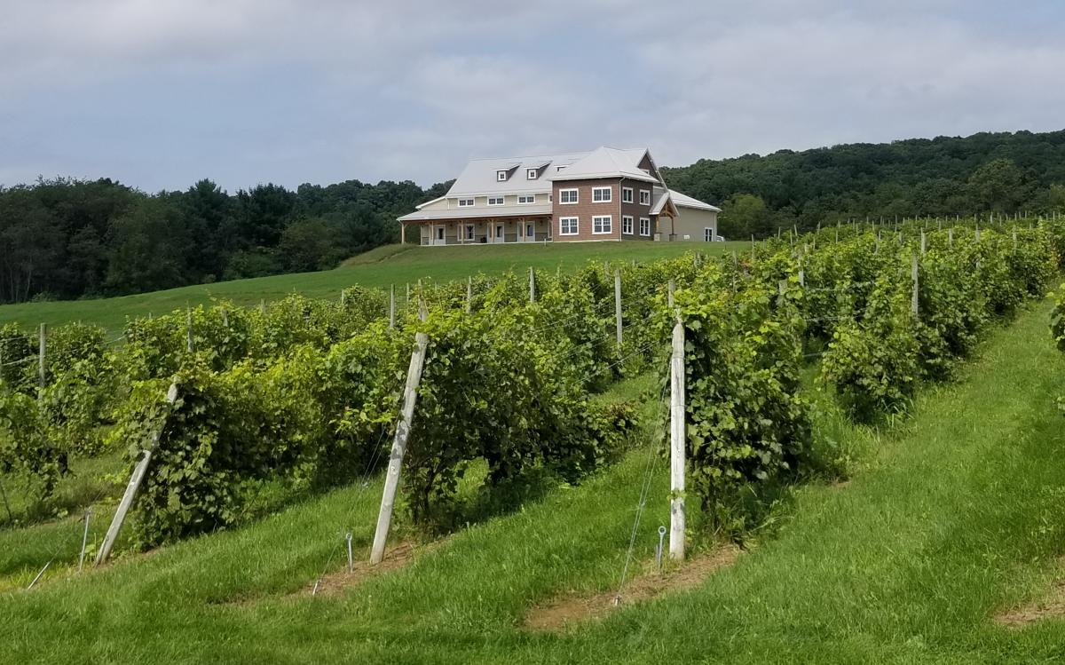 Spyglass Ridge Winery Sunbury, PA