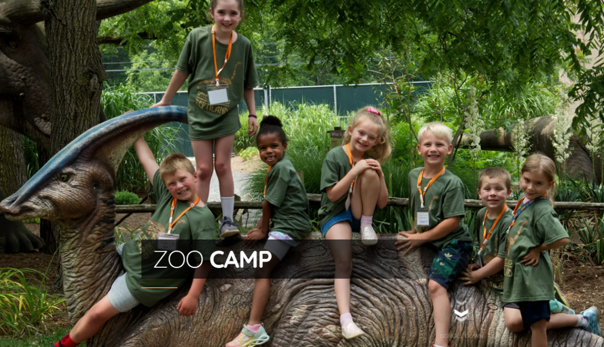 Zoo Camp Registration Open